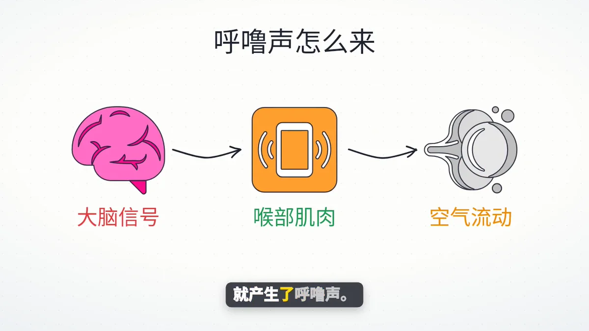 不露脸讲解视频的一个画面：大脑信号、喉部肌肉和空气流动三步图解